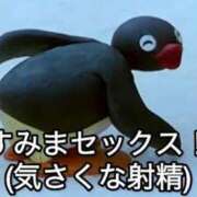 ヒメ日記 2026/04/26 01:29 投稿 しあとちわわ 完全密室 無抵抗