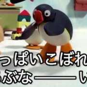ヒメ日記 2026/05/10 23:53 投稿 しあとちわわ 完全密室 無抵抗