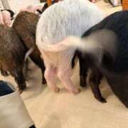 ヒメ日記 2026/05/09 15:29 投稿 九蘭 雫 Barubola