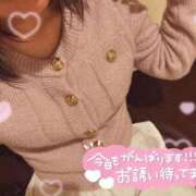 みか 熱中症になりそうな気温💦💦 横浜ひよこ倶楽部