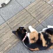 ヒメ日記 2026/06/27 19:32 投稿 みこと One More 奥様 千葉店