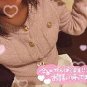 ヒメ日記 2026/05/29 09:16 投稿 みか Lolipop 横浜