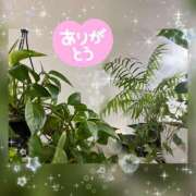 ヒメ日記 2026/05/22 02:03 投稿 すみれ 秘密の出張部屋