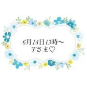 前島(まえしま) ♡6月14日本指名Tさま♡ 人妻出逢い会 百合の園 品川店