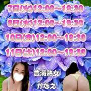ヒメ日記 2026/07/01 12:34 投稿 かなえ 豊満熟女