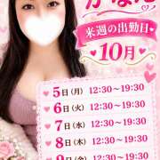 ヒメ日記 2026/09/30 20:08 投稿 かなえ 豊満熟女