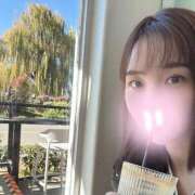 ヒメ日記 2026/05/08 09:33 投稿 りりな 西船人妻花壇