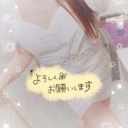 ヒメ日記 2026/04/24 09:39 投稿 すみれ SUZUME