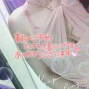 ヒメ日記 2026/04/27 09:29 投稿 すみれ SUZUME