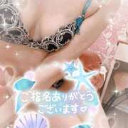 ヒメ日記 2026/05/31 09:11 投稿 すみれ SUZUME