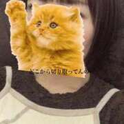 ヒメ日記 2026/04/23 23:17 投稿 りこ 人妻熟女の秘密の関係伊勢崎店