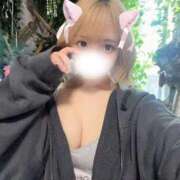 猫屋敷 みるく 初めまして🐈‍⬛🎀 Canx2京都店