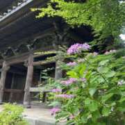 ヒメ日記 2026/05/13 08:41 投稿 篠原 まな こあくまな熟女たち 上野・御徒町店 (KOAKUMAグループ)
