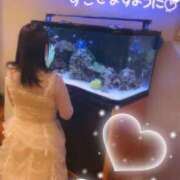 ヒメ日記 2026/06/24 08:05 投稿 木ノ下 陽葵 こあくまな熟女たち伊勢崎店（KOAKUMAグループ）