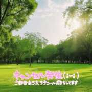ヒメ日記 2026/08/16 09:14 投稿 木ノ下 陽葵 こあくまな熟女たち伊勢崎店（KOAKUMAグループ）