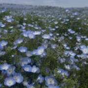 ヒメ日記 2026/04/27 11:58 投稿 宮地りか 癒されるワイフ