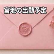 宮地りか 💝今週の出勤予定💝 癒されるワイフ