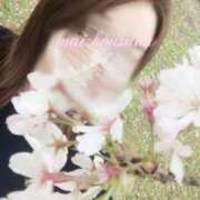 ヒメ日記 2026/04/30 21:01 投稿 Mai Kousaka PRECIOUS
