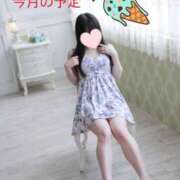 ヒメ日記 2026/08/07 12:01 投稿 のぞみ 藤沢人妻城