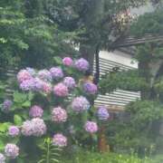 ヒメ日記 2026/07/01 07:09 投稿 テレサ MEGA PALACE(メガパレス）