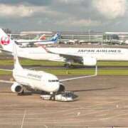 ヒメ日記 2026/08/19 07:50 投稿 のばら マダム錦糸町