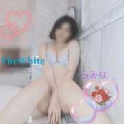 ヒメ日記 2026/06/30 13:27 投稿 らみな The White