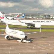 ヒメ日記 2026/08/19 07:38 投稿 のばら マダム西船橋