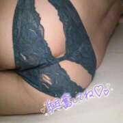 ヒメ日記 2026/04/23 00:41 投稿 とき My Essentials