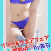 ヒメ日記 2026/05/07 04:06 投稿 森石 みう イマジン東京