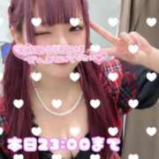 ヒメ日記 2026/06/29 11:27 投稿 のあ アリスカフェ