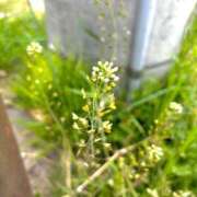 ヒメ日記 2026/04/23 09:12 投稿 みなみ 奥様メモリアル