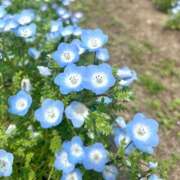 ヒメ日記 2026/05/09 10:03 投稿 みなみ 奥様メモリアル