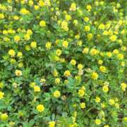 ヒメ日記 2026/05/28 07:12 投稿 みなみ 奥様メモリアル