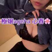 ヒメ日記 2026/04/23 16:01 投稿 心春(こはる)M性感 フェチM性感　極嬢　ageHa