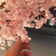 ヒメ日記 2026/05/04 09:40 投稿 久遠(くおん) PLUS東大阪店（高井田・長田）