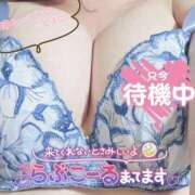 ヒメ日記 2026/06/12 17:50 投稿 (コスパ)三田まな 風俗イキタイいわき店