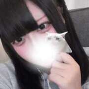 ヒメ日記 2026/08/09 12:31 投稿 天音 BBW（ビッグビューティフルウーマン）