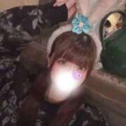 ヒメ日記 2026/06/04 02:03 投稿 むーん 女の子がセルフで撮影する店！！成田デリヘル『生パネル』伝説