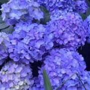 ヒメ日記 2026/06/22 22:56 投稿 にこる Lolipop 横浜