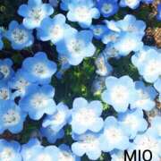 ヒメ日記 2026/04/28 20:37 投稿 みお 熟女デリヘル倶楽部