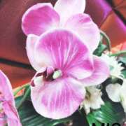 ヒメ日記 2026/04/29 18:28 投稿 みお 熟女デリヘル倶楽部