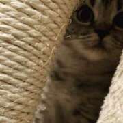 ヒメ日記 2026/04/27 20:23 投稿 礼音【れおん】 丸妻 西船橋店