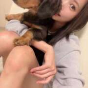 ヒメ日記 2026/05/21 11:27 投稿 なな【美人×極上×人気】 ロマネ