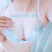ヒメ日記 2026/05/12 11:46 投稿 こはる 熟女総本店 日本橋ミナミエリア店
