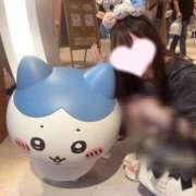 ヒメ日記 2026/10/23 19:55 投稿 なほ★新卒18歳×業界未経験★ Chloe鶯谷・上野店 S級素人清楚系デリヘル