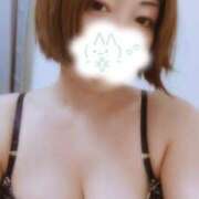 ヒメ日記 2026/08/11 18:20 投稿 ミク(奥方) 奥様幕府