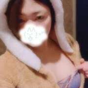 ヒメ日記 2026/08/12 19:00 投稿 ミク(奥方) 奥様幕府