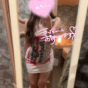 ヒメ日記 2026/04/28 19:31 投稿 めぐ レッドろまん枚方店