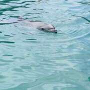 ヒメ日記 2026/06/30 13:21 投稿 長島かなめ 人妻家久喜