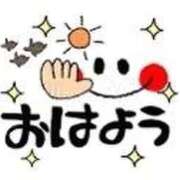 ヒメ日記 2026/05/07 07:16 投稿 まりあ 熟女総本店 日本橋ミナミエリア店